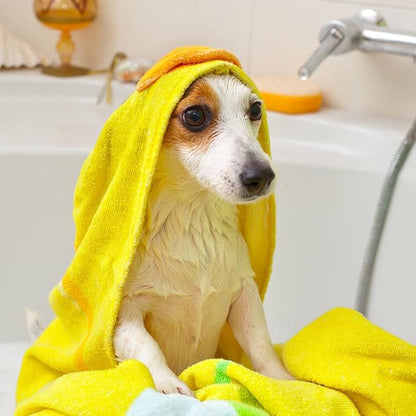 Vet's Best Medicated Oatmeal Shampoo for Dogs - Soothes Dog Dry Skin - Cleans, Moisturizes, and Conditions Skin and Coat - 16 Ounces