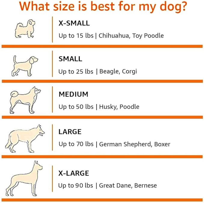 Amazon Basics 2-Door Portable Soft-Sided Folding Soft Dog Travel Crate Kennel, Medium (M 30" x 21" x 21"), Tan