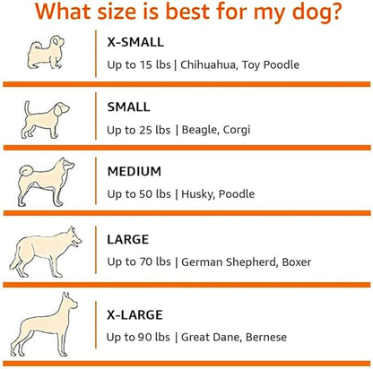 Amazon Basics 2-Door Portable Soft-Sided Folding Soft Dog Travel Crate Kennel, Medium (M 30" x 21" x 21"), Tan