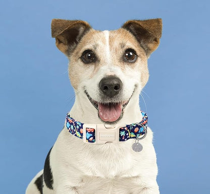 DOGWONG Cotton Dog Collar, Blue Dinosaur Dog Collar for Small Medium Large Dogs