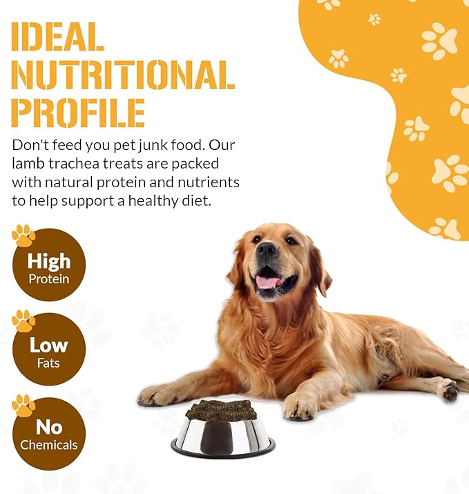 Dog Chits Lamb Trachea for Dogs - Dog and Puppy Chews | Amazing for Joints | Made in USA | Great for Pups Allergic to Beef | All-Natural Treats | Large and Small Dogs | 8 oz. Bag