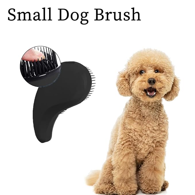 Small Dog Brush- Grooming Tool for Teddy, Yorkies, Maltese, Shih Tzu, Chihuahua - Puppy Hair Brush (Black)