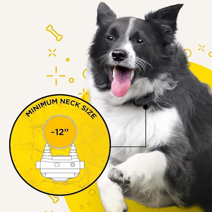 Dogtra iQ Plus Additional Receiver Rechargeable Waterproof 400-Yard Remote Dog Training E-Collar