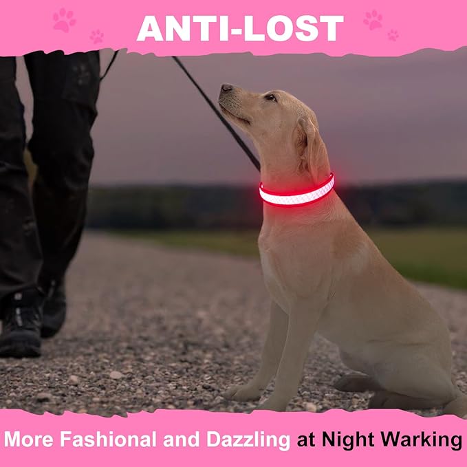 Light Up Dog Collars for Small Dogs, USB Rechargeable Flashing Dog Collar, Led Dog Collar with Reflective Edging - Glow in The Dark Lighted Collar - Dog Glow Collar for Night Walking - Pink, S