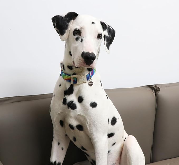 DOGWONG Cotton Dog Collar, Spring Summer Dogs Collar Durable Soft Natural Fabric Pet Dog Collars for Small Medium Large Dogs