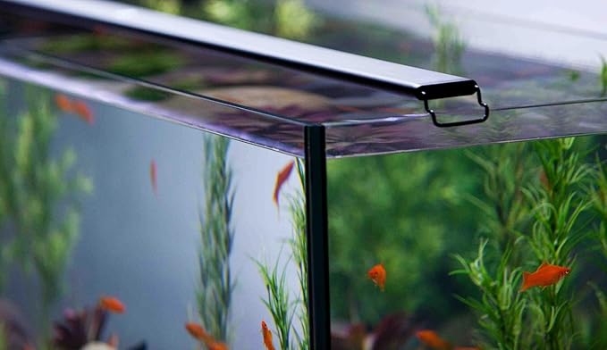 CURRENT USA 24-36" Satellite Color RGBW Full-Spectrum LED Aquarium Light - Freshwater, Wireless 24-Hour Timer, Adjustable Tank Mounts (4511)