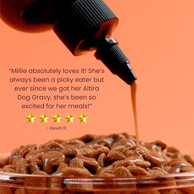 Everyday Dog Gravy Beef - Premium Wet Dog Food Gravy Toppers for Dry Food – Tasty & Nutritious with Essential Vitamins and Supplements – Hip and Joint Supplement