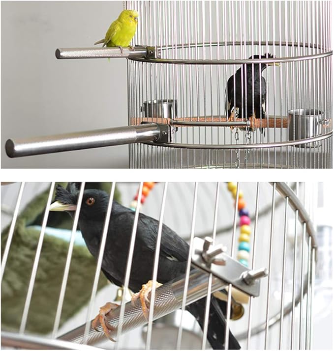 Bird Perch Stainless Steel Stand Parrot Rod Grinding Claws Trimming Beak Nails Grinding Stick Exercise Platform for Parakeet Cockatiel Conure African Grey Macaw Finch Bird Cage Accessories (XL)