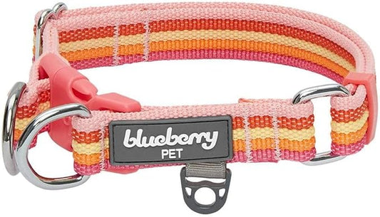 Blueberry Pet 3M Reflective Dog Collars | Adjustable Dog Collar w/Multi-Colored Stripe - Warm Tone Rainbow Color | Nylon Pet Collars for Dogs & Refflective Dog Collar for Small Dogs