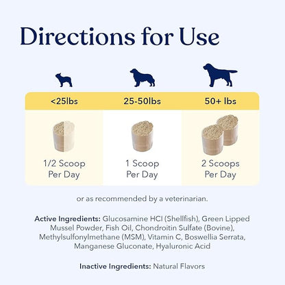 Honest Paws Joint Supplement for Dogs - Supports Mobility, Hip & Joint Health, Eases Stiffness - Glucosamine, Green Lipped Mussel, Fish Oil, Chondroitin Sulfate, MSM, Vitamin C
