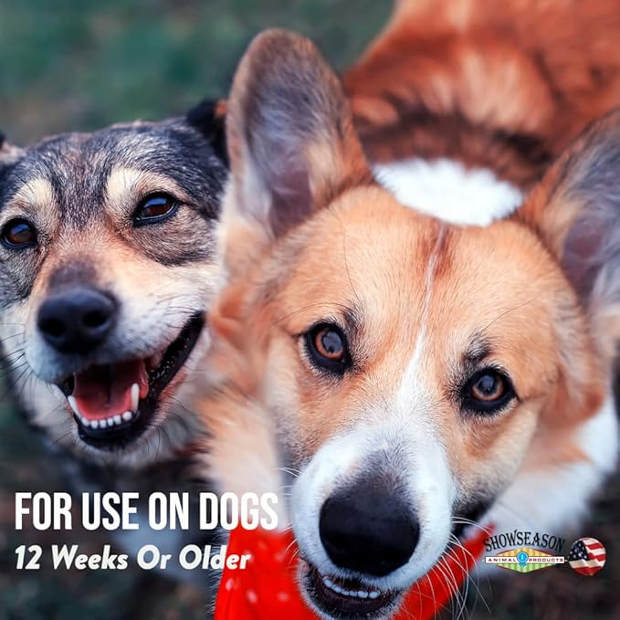 Pumpkin Spice Shampoo for Dogs & Cats 1 Gallon | Cruelty-Free | Paraben-Free | Biodegradable and Non-Toxic | Made in The USA