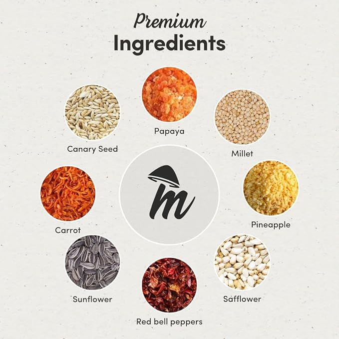 Mycelium Cockatiel Cuisine Bird Food | 5 lb Premium Seed Mix with Vegetables, Fruits, Sunflower Seeds, Oat Groats & Buckwheat for Energy, Digestion, and Feather Health | Organic & Non-GMO