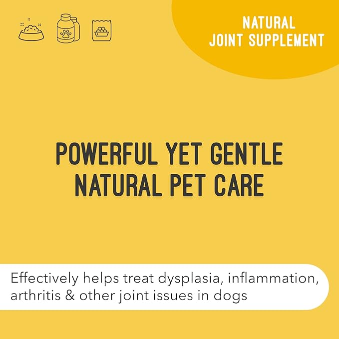 Dog Supplement for Joint Inflammation & Arthritis, Naturally Potent Dog Joint Care, Antioxidant Formula with MSM, Chondroitin, Vitamin C, & Glucosamine for Dogs, 32 fl oz
