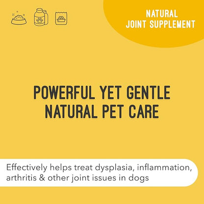 Dog Supplement for Joint Inflammation & Arthritis, Naturally Potent Dog Joint Care, Antioxidant Formula with MSM, Chondroitin, Vitamin C, & Glucosamine for Dogs, 32 fl oz