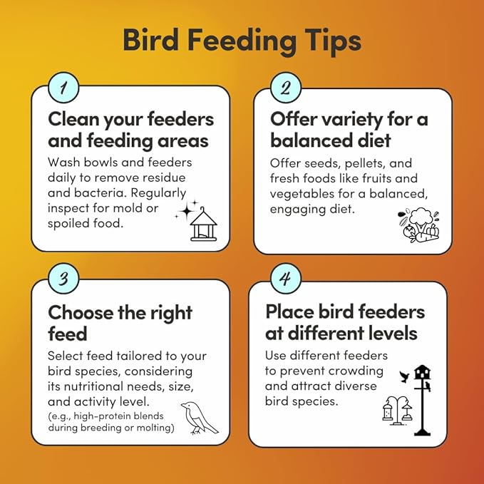 Mycelium Organic Large Parrot Feed (5 LB Bag) | Bird Food for Macaws, Cockatoos & Amazons | High-Protein Seed, Pellet & Kibble Blend | Supports Digestion & Energy | Made in USA, Non-GMO