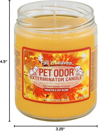 0 Candle Fall 'N Leaves