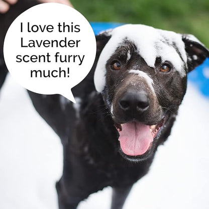 5-in-1 Dog Wash Moisturizing Lavender Shampoo, by Kira Labs 960ml/32fl