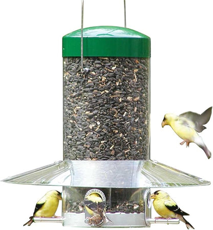 Birds Choice Classic Hanging Bird Feeder with Weatherguard Baffle | Squirrel Proof Bird Feeder for Cardinals, Chickadees, Woodpeckers | Sturdy Steel Construction | Backyard Birdseed Dispenser | Green