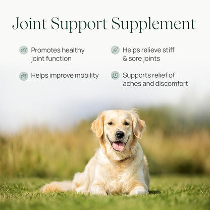 pawTree Joint & Hip Support Supplement for Dogs with Glucosamine, Chondroitin, MSM, Tumeric & Green Lipped Mussels - Vitamins, Supplements & Health Essentials - All-Natural Mobility Soft Chews