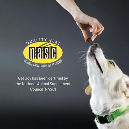 Get Joy Gut+ Probiotic Chews for Dogs, 90 Soft Chews, Chicken Flavor, Supports Digestive Health & Immunity, with Pre, Pro & Postbiotics, PhD Animal Nutritionist Formulated, Produced in USA