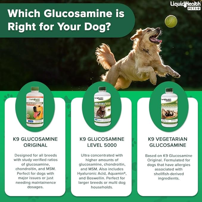 LIQUIDHEALTH Pets K9 Liquid Glucosamine Level 5000 for Large Dogs with Chondroitin, MSM, Boswellia Serrata - Dog Hip & Joint Health Vitamins for Dog Joint Pain, Pet Joint Oil Juice - USA Made (32 oz)