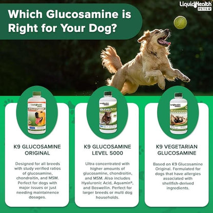 LIQUIDHEALTH Pets K9 Liquid Glucosamine Level 5000 for Large Breeds with Chondroitin, MSM - Pet Joint Health Supplements, Dog Vitamins Hip Joint Juice, Dog Joint Oil - Made in The USA (1 Gallon)