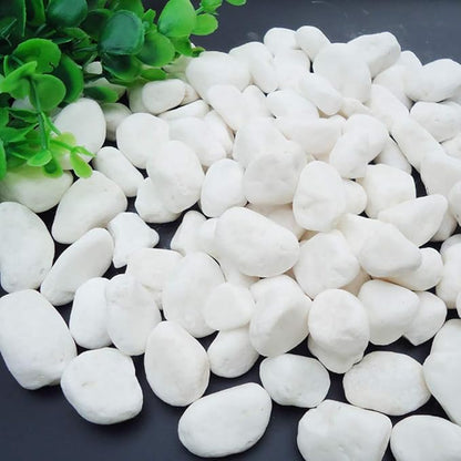 WAYBER 2 Lb/920g White Stones Decorative Pebble Rock Sand for Aquarium/Fish Turtle Tank/Vase Filler/Succulent Plants Decoration (Fill 2 Cups)