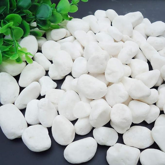 WAYBER 2 Lb/920g White Stones Decorative Pebble Rock Sand for Aquarium/Fish Turtle Tank/Vase Filler/Succulent Plants Decoration (Fill 2 Cups)