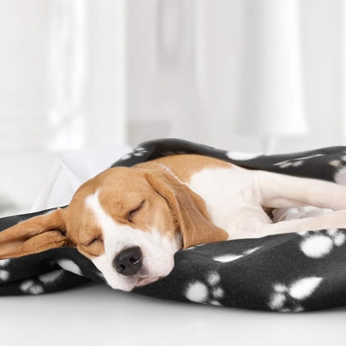 Comsmart Dog Blankets for Small Dogs, 6 Pack Puppy Blanket Cute Paw Print Pet Blanket for Dog, Puppy, Cat, Kitten, 39x31 inches, Black