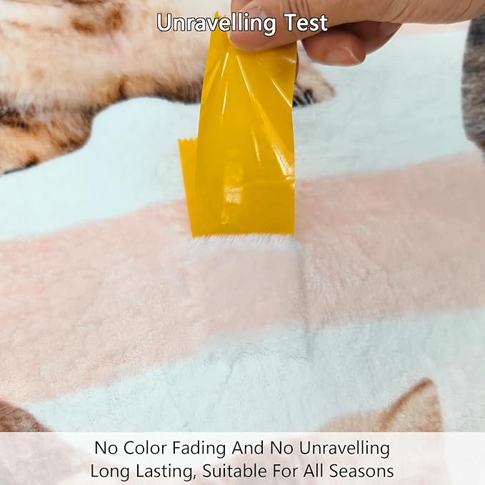 Fuzzy Throw Blanket 350 GSM Fleece Ultra-Soft Microfiber Blanket for Adults Kids Gift Couch, Sofa, Bed Cute Cat 50"x40"