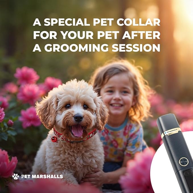 Electric Pet Nail Grinder Kit, 3 Speed Settings, 2000mAh Battery, LED Light, Dogs and Cats