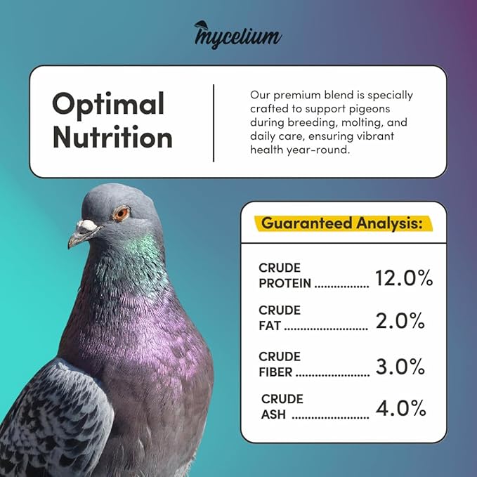 Mycelium Organic Pigeon Plus Bird Seed (5 LB Bag) | Premium Wild Bird Food for Growth, Strength & Daily Energy | Whole Grain Blend with Popcorn, Peas, Milo & Wheat | Non-GMO, No Fillers, Made in USA