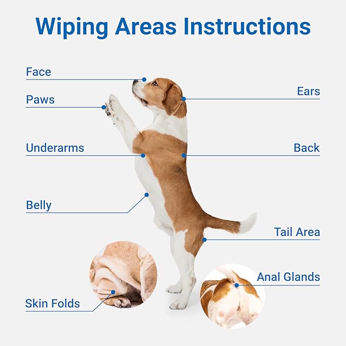Pet Grooming Glove Wipes, Dog and Cat Cleaning Wipes for Fur, Paws, Butt, Puppy and Dog wet wipes, Hypoallergenic Deodorizing with Natural Sunshine Oat Extract, On-the-Go Freshness, Fast clean