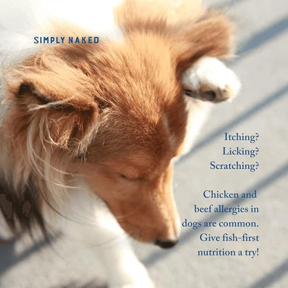 Wild Alaskan Salmon Grain-Free Dog Food | No Chicken or Other Animal by-Products | Rich in Omega 3 & 6 Fatty Acids | Sustainably Sourced Wild Caught Fish | Made in The USA | 11lb Bag