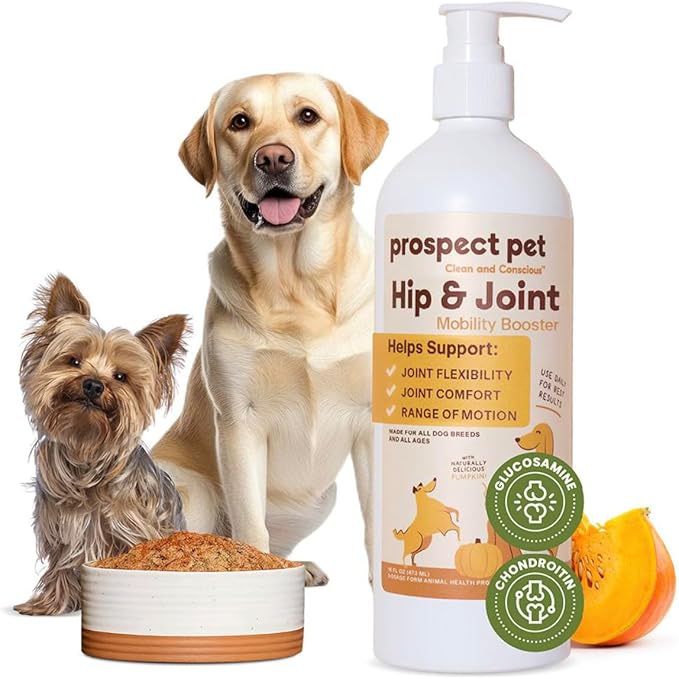 Hip and Joint Supplement for Dogs - Glucosamine with Plant-Based Chondroitin, MSM & Pumpkin - Advanced Joint Relief Dog Supplements for Large & Small Breeds - USA Made 16OZ
