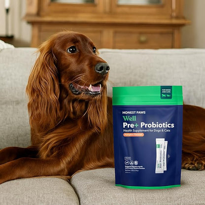 Honest Paws Probiotics for Dogs - Dog Digestion Gut Health Probiotic Powder with Prebiotic Made in The USA, Digestive and Immune Support - Digestive Enzymes with Pumpkin Flavor (30 Sticks)