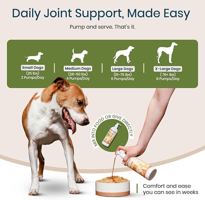 Hip and Joint Supplement for Dogs - Glucosamine with Plant-Based Chondroitin, MSM & Pumpkin - Advanced Joint Relief Dog Supplements for Large & Small Breeds - USA Made 16OZ