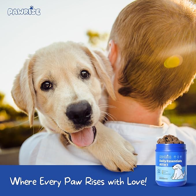 Dog Daily Supplements - MultiVitamins for Dog Hip & Joints, Skin & Coat, Digestion & Immune Support - with Biotin, Glucosamine & Omega-3-150ct - Dog Supplement Soft Chew