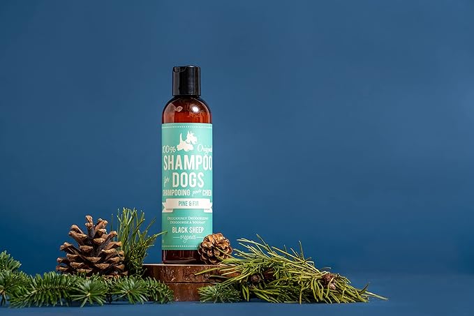 Pine&Fir Deodorizing Dog Shampoo - for Oily or Dry Dog Skin-Natural Ingredients with Organic Essential Oils- Made in Canada