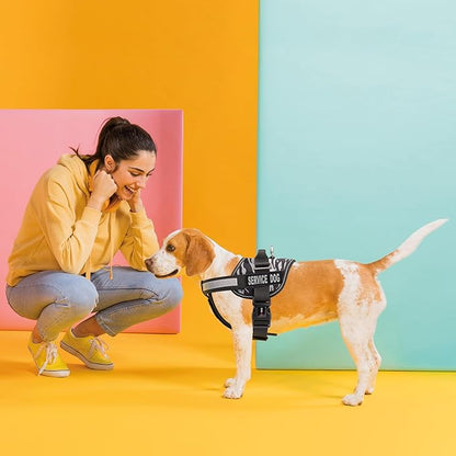 Dogline Unimax Dog Harness Vest with Service Dog Patches Reflective No-Pull, Adjustable Straps, Breathable Neoprene for Medical, Service, Identification and Training Dogs Girth 28 to 38" Zebra