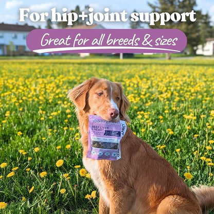 healthybud Hip and Joint Dog Treats - Glucosamine Soft Beef Liver Bites for Senior Dogs, Arthritis Support 4.6oz