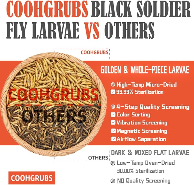 Dried Black Soldier Fly Larvae 5 lb - Non-GMO High-Calcium Worms for Chickens, Ducks & Wild Birds