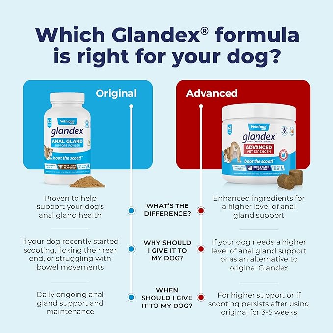 Vetnique Glandex Dog Fiber Supplement Powder for Anal Glands with Pumpkin, Digestive Enzymes & Probiotics - Vet Recommended (Regular or Advanced Strength) - Boot The Scoot (5.5 oz, Pork Liver)