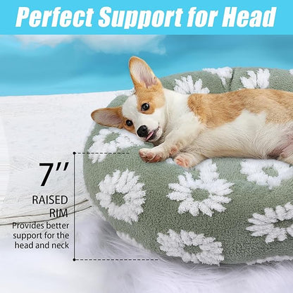 HYQ Small Dog Bed, Cat Beds for Indoor Cats, Dog Beds for Small Dogs with Anti-Slip Bottom, Cute Puppy Bed Washable-White-17inch