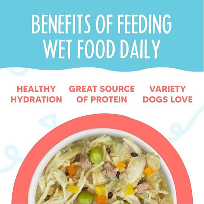 Weruva Meals 'n More Natural Wet Dog Food, Jammin' Salmon Plus Skin & Coat Health, 3.5oz Cup (Pack of 12)