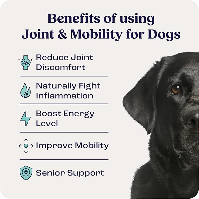 Summit Canine Joint and Mobility Supplement for Large Dogs, All Natural Liquid Chondroitin with Liposomal Delivery for Arthritis, Hip & Joint Support Vitamin, (Dogs 75+lbs)