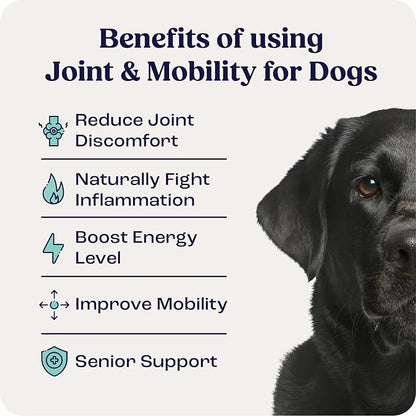 Summit Canine Joint and Mobility Supplement for Large Dogs, All Natural Liquid Chondroitin with Liposomal Delivery for Arthritis, Hip & Joint Support Vitamin, (Dogs 75+lbs)
