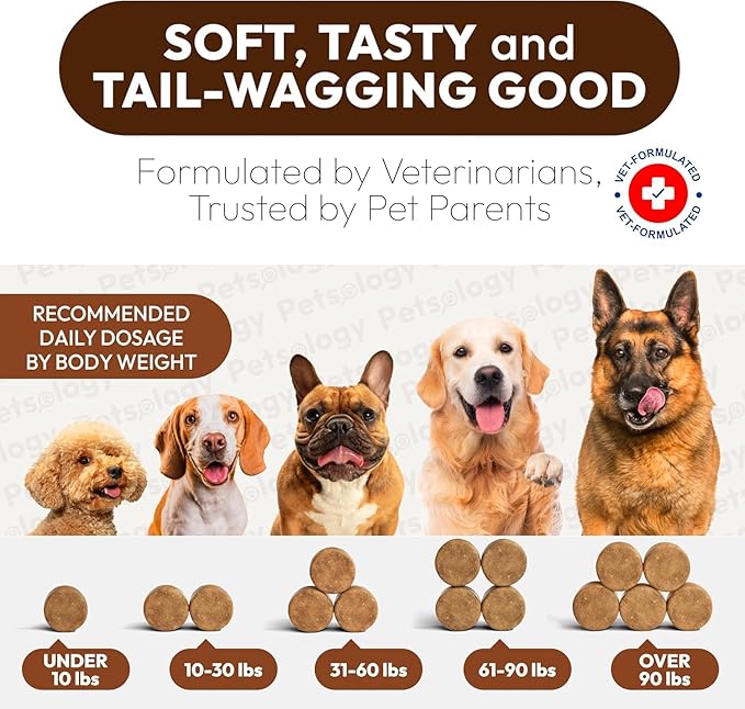 Turkey Tail Mushroom for Dogs - 170 Chews - Lion’s Mane - Shiitake - Reishi - Buddy Immune Support Guard - Mushroom Supplement for Dogs Lumps and Bumps Glucosamine, Health Vitamins Multivitamin