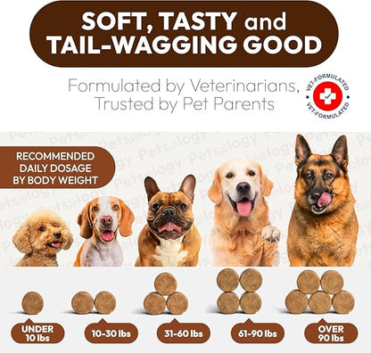 Turkey Tail Mushroom for Dogs - 170 Chews - Lion’s Mane - Shiitake - Reishi - Buddy Immune Support Guard - Mushroom Supplement for Dogs Lumps and Bumps Glucosamine, Health Vitamins Multivitamin
