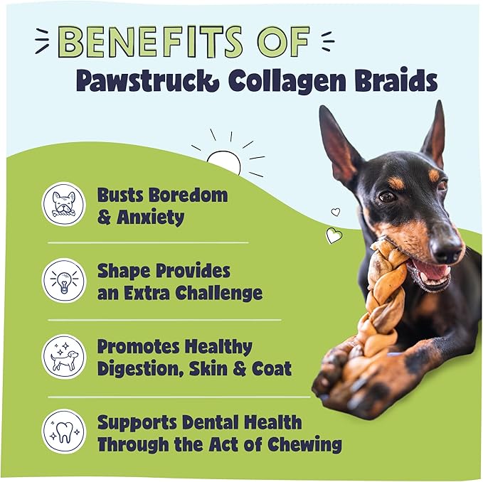 Pawstruck Natural 5-7 Beef Collagen Braids for Dogs - Healthy Long Lasting Alternative to Traditional Rawhide & Bully Sticks Chew Treats w/Chondroitin & Glucosamine - 5 Count - Packaging May Vary